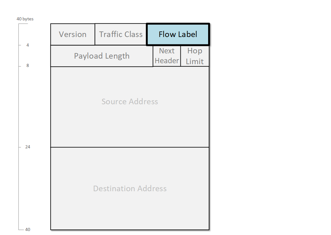 IPv6 Flow Label field