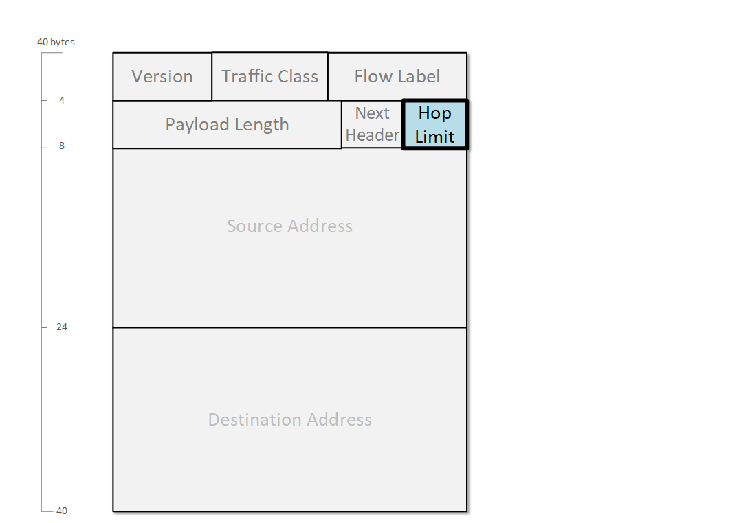 IPv6 Hop Limit Field