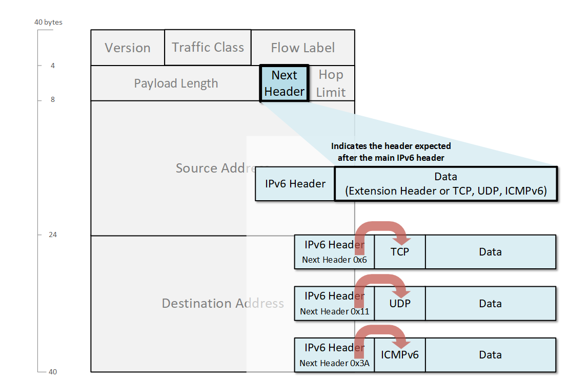 IPv6 Next Header Field
