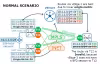 Cisco SD-WAN OMP Send Backup Paths
