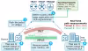 Application-Aware Routing (App-route) Policy